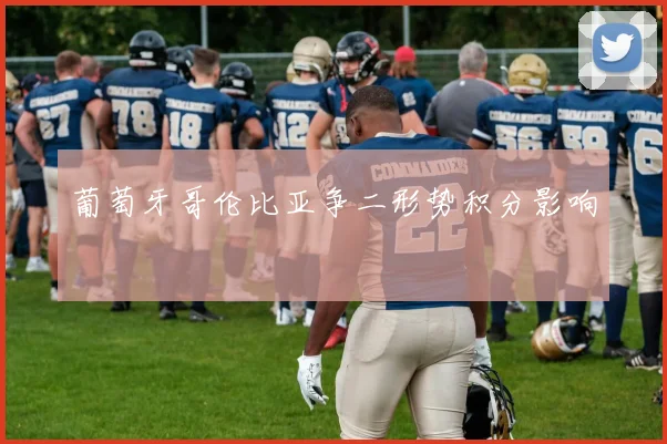 葡萄牙哥伦比亚争二形势积分影响