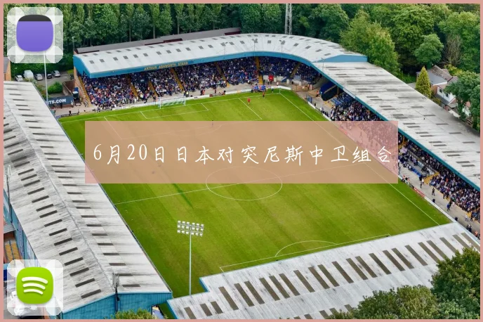 6月20日日本对突尼斯中卫组合