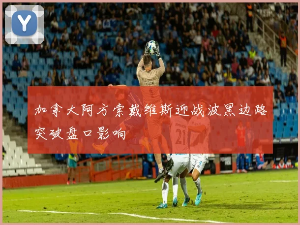 加拿大阿方索戴维斯迎战波黑边路突破盘口影响