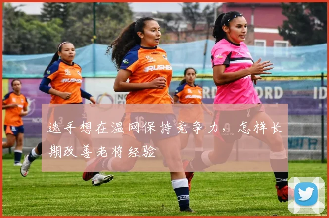 选手想在温网保持竞争力，怎样长期改善老将经验